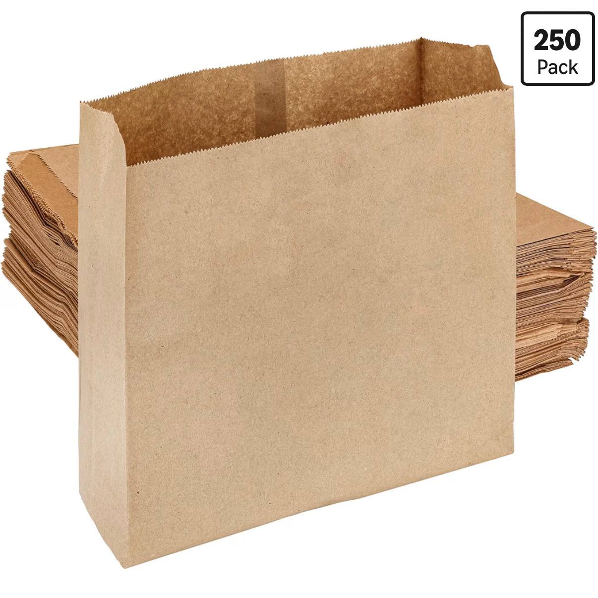 Hospeco HS-6141 Waxed Kraft Receptacle Liner Bags, 250 Count - Moisture-Resistant Feminine Hygiene Waste Bags, Fits Sani